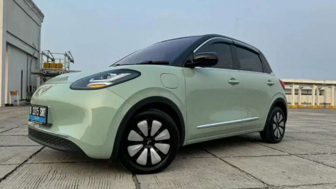 Wuling BinguoEV bekas
