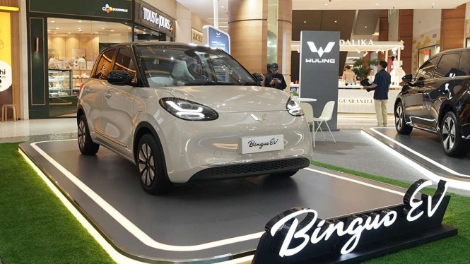 Wuling BinguoEV