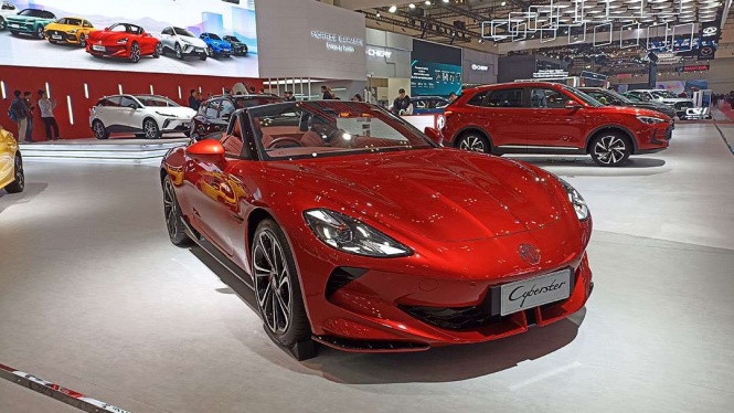 MG