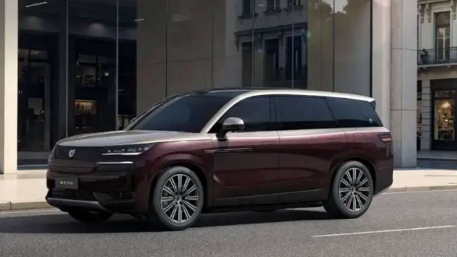 Denza N9