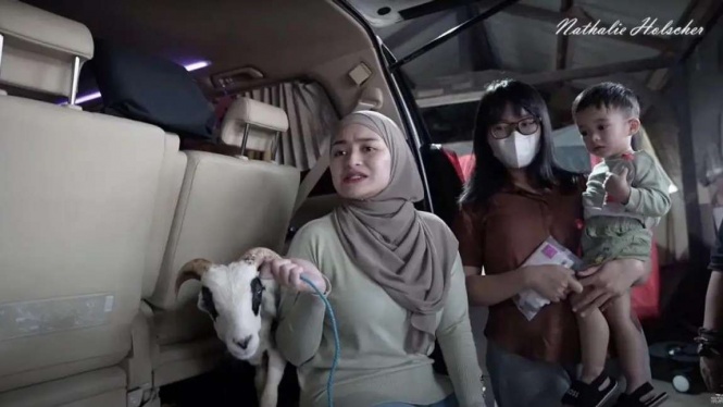 Isi Garasi Nathalie Holscher Mantan Istri Sule, Ada Ford Mustang