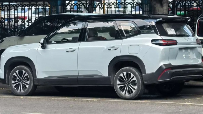 Tampilan Wuling Almaz Darion