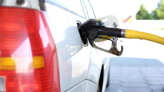 Academics Reveal Criteria for Vehicles That Can Use E10 Fuel