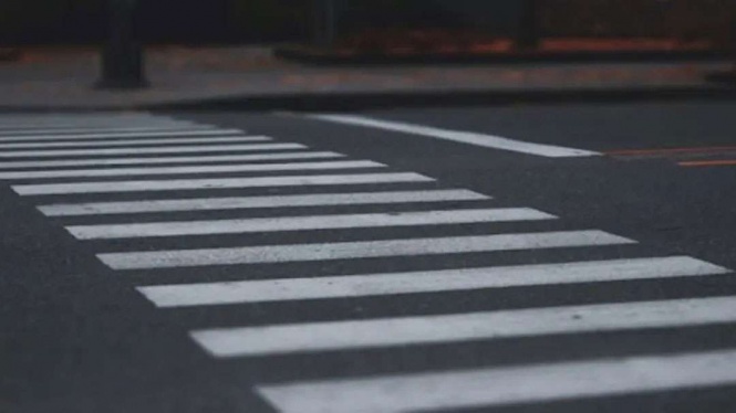 Zebra Cross