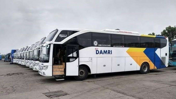 Bus Damri