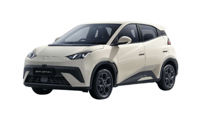 2025 New Car Wholesale Model