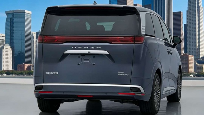 Denza D9