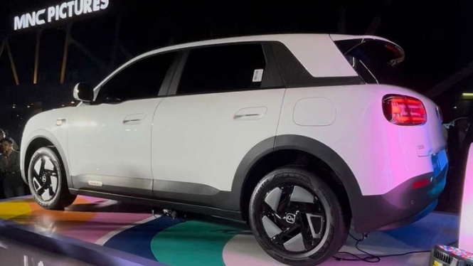 Chery Q