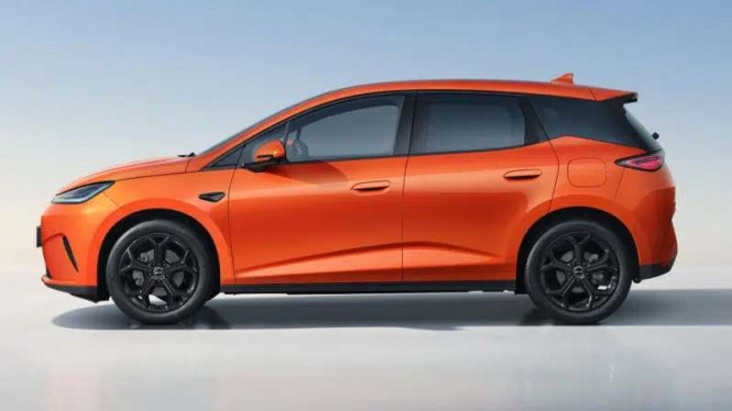 BYD Dolphin PHEV