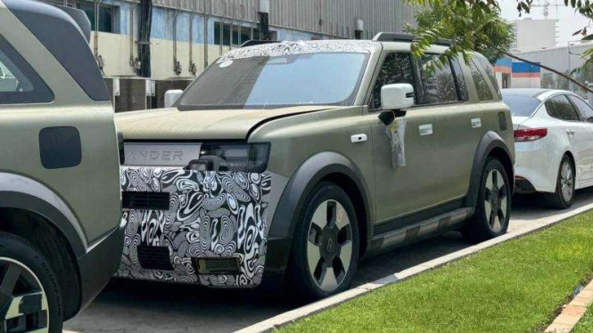 Freelander 8
