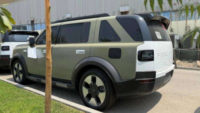 Freelander 8