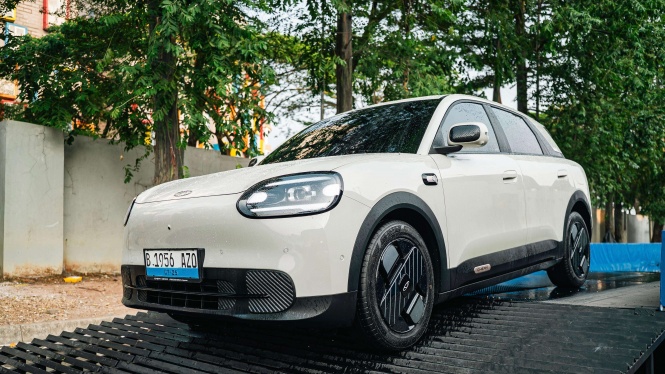 Chery Q