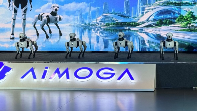 AiMOGA